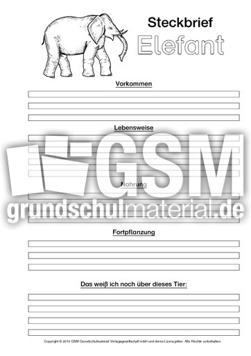 Elefant-Steckbriefvorlage-sw-2.pdf